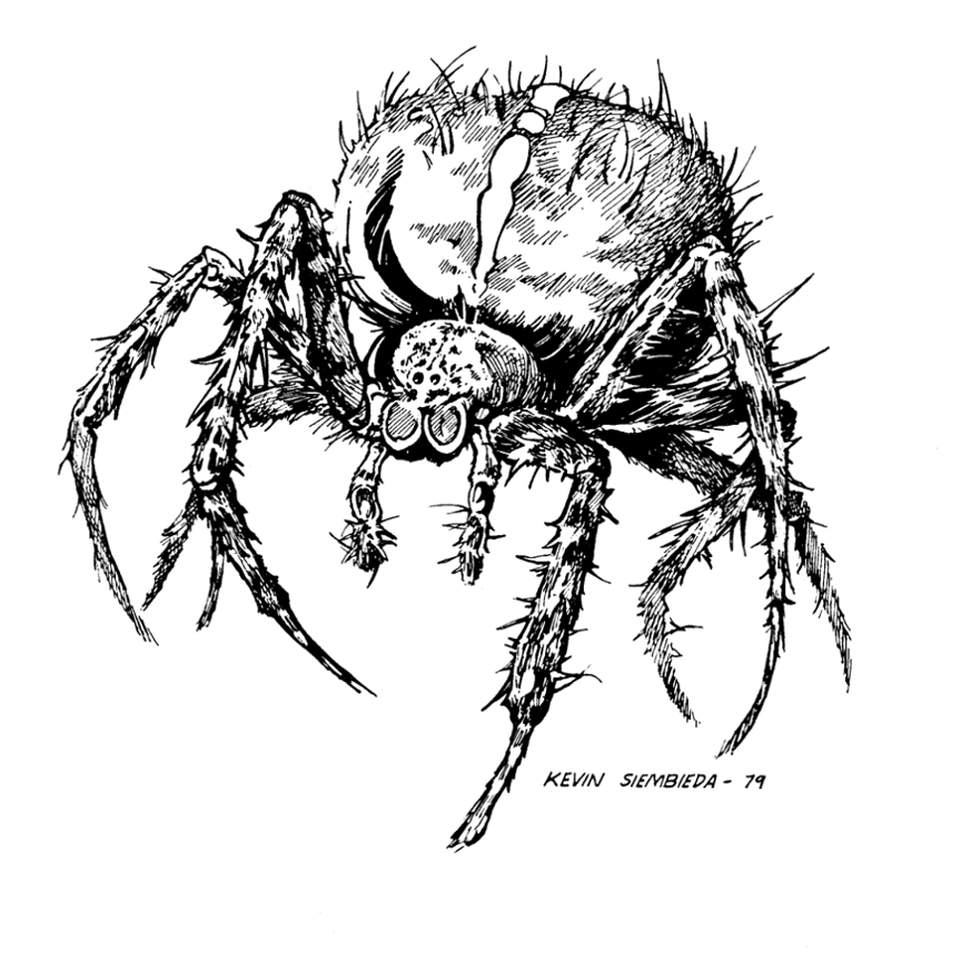 Giant spider (page 36)